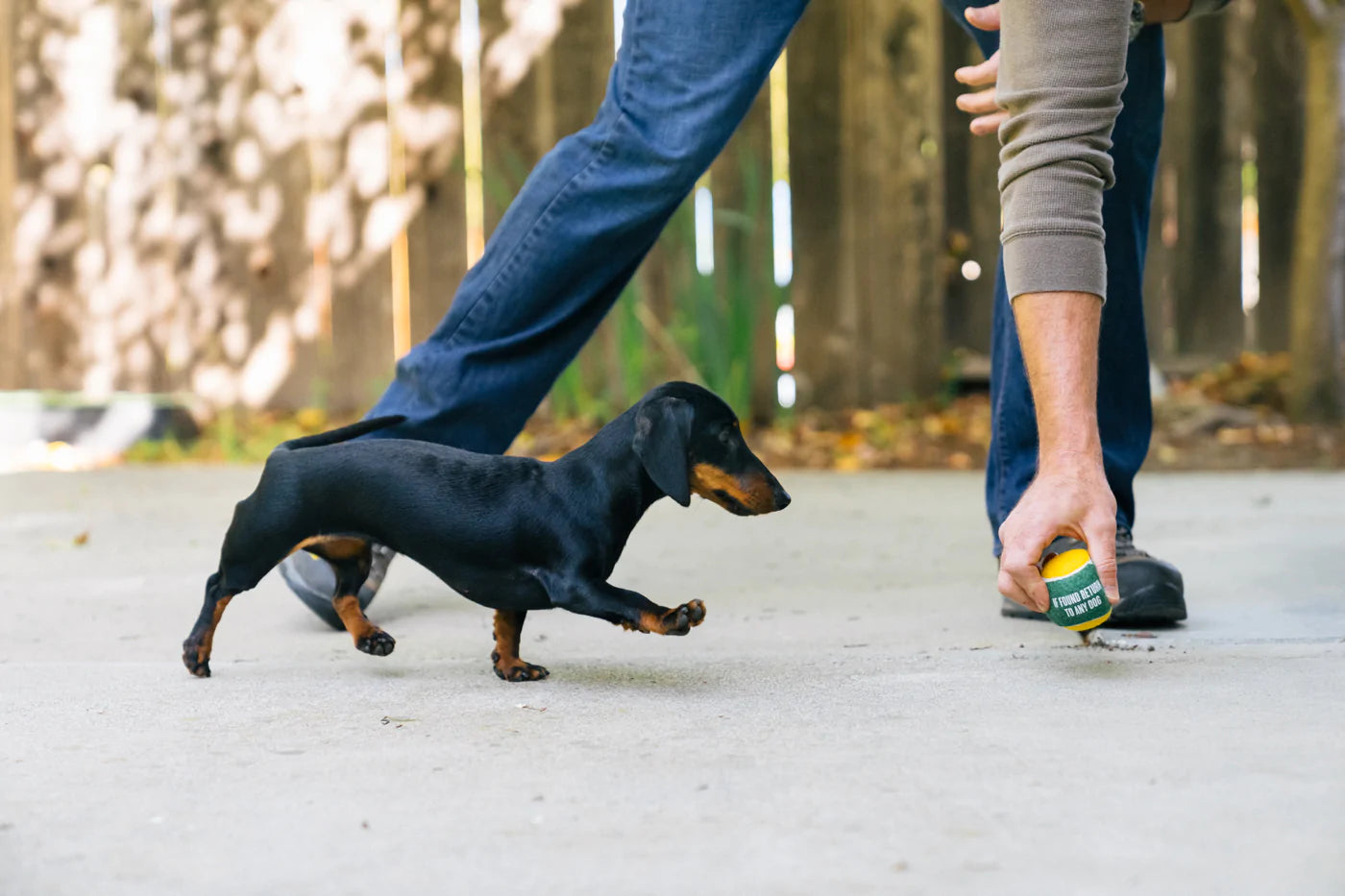 Dog Tennis Ball (4 pcs pack) | Toy