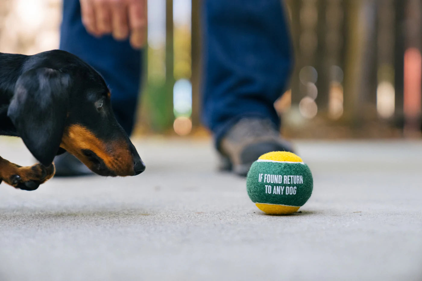 Dog Tennis Ball (4 pcs pack) | Toy