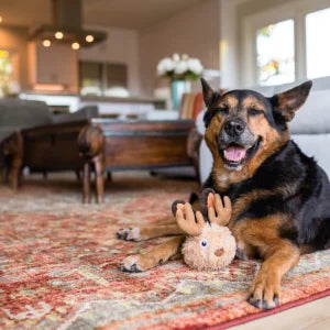 Mythical Creatures Toys
