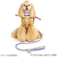 Authentic Disney Toy Story Buzz Lightyear Vest Harness