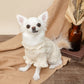 Pet Paradise Winter Knit Sweater Frilled Aran Sweater
