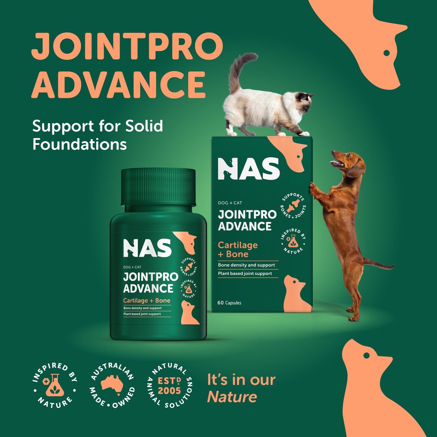 JointPro Advance 60 粒胶囊