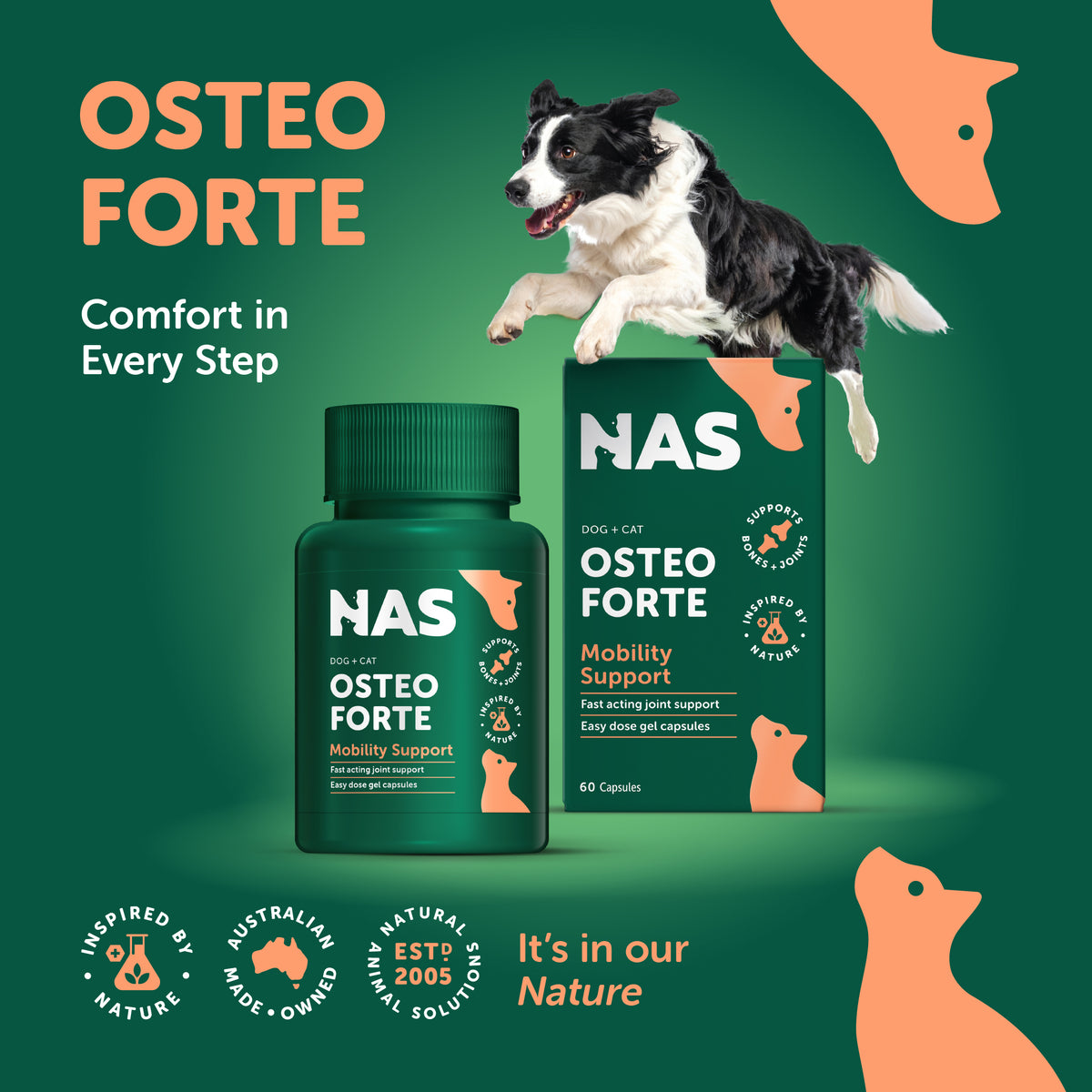 NAS OsteoForte 60 capsules