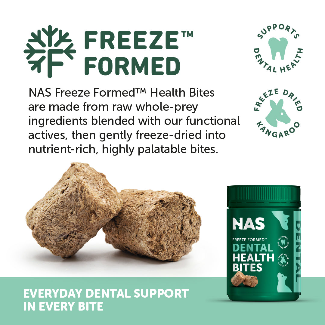 NAS Freeze Formed ™ Dental Health Bites 50g | 60 pieces
