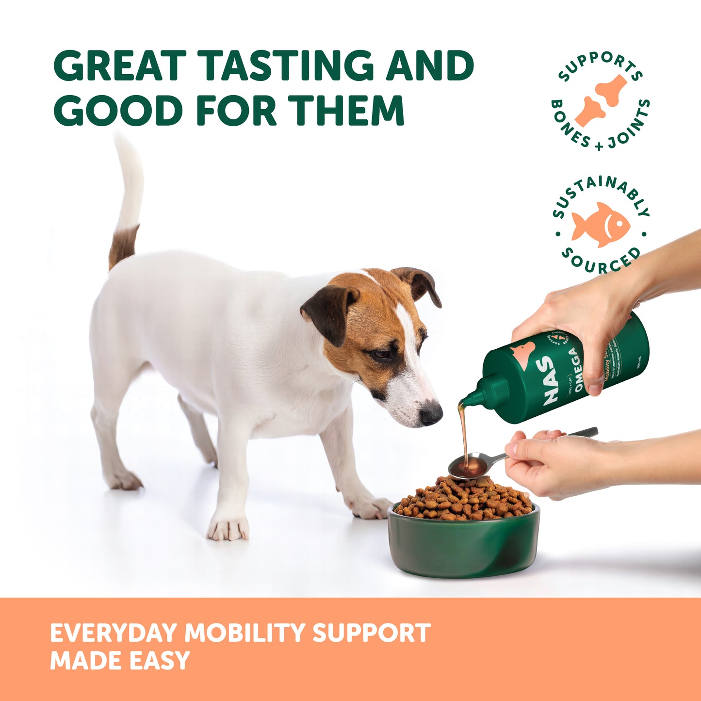 NAS Omega Oil Salmon 500ml