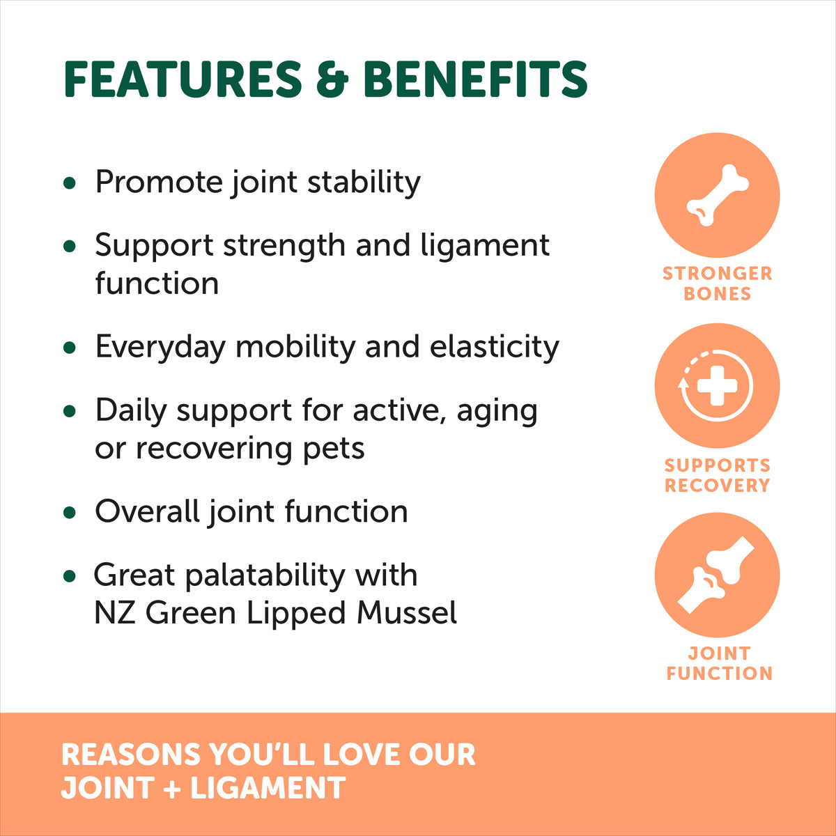 NAS Joint & Ligament Powder 120g
