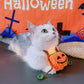 Light Up Handmade Knitted Halloween Pumpkin Bandana