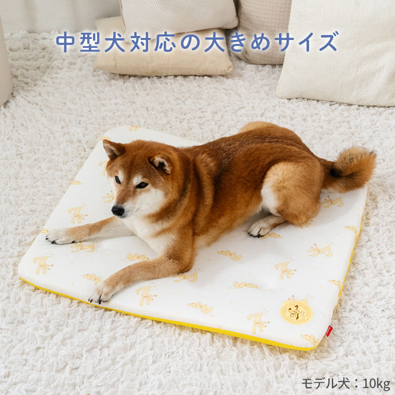 Disney Pluto Dog Summer Soft Cool Mat