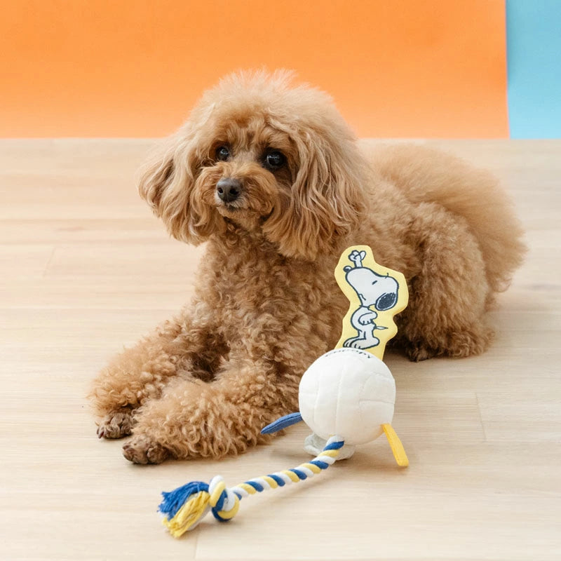 Authentic Snoopy Crinkly Volleyball Rope Toy