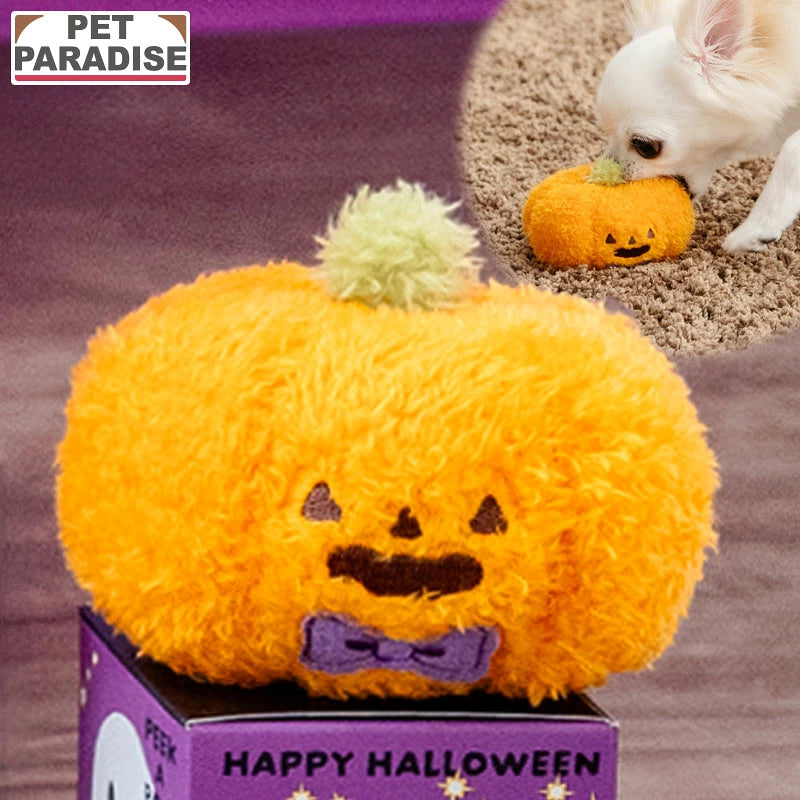 Pet Paradise Halloween Pumpkin Squeaky Dog Toy – Orange