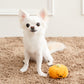 Pet Paradise Halloween Pumpkin Squeaky Dog Toy – Orange