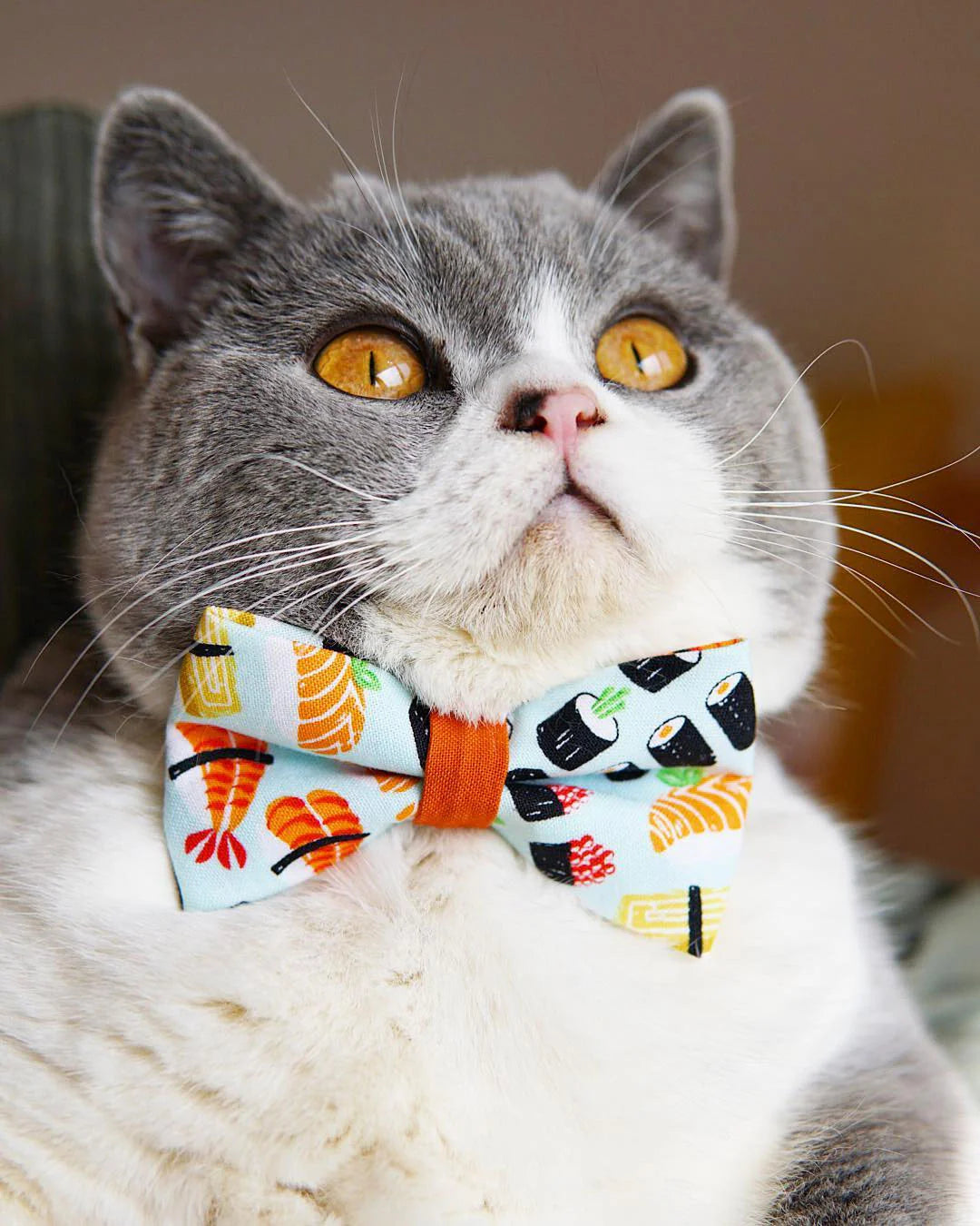 Bow Tie Cat Collar Set - "Sushi Date" - Sushi Cat Collar + Bow Tie (Removable) / Breakaway