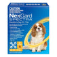 NexGard Dog SPECTRA | Flea, Heartworm, Flea, Tick, Intestinal Worm, and Mite Protection