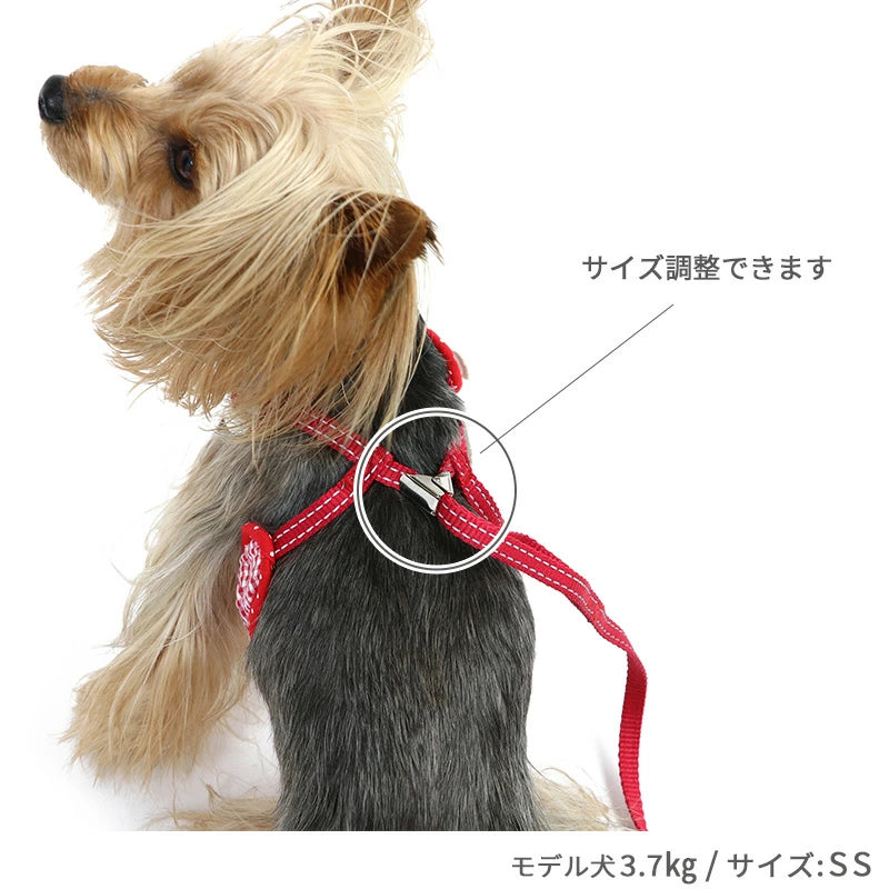 Strawberry Harness with Leash