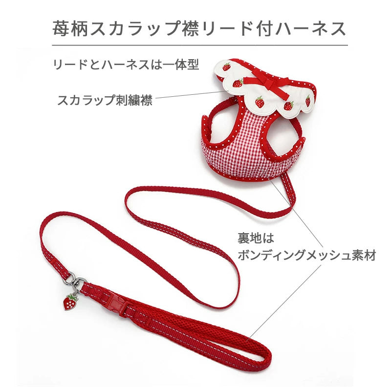 Strawberry Harness with Leash