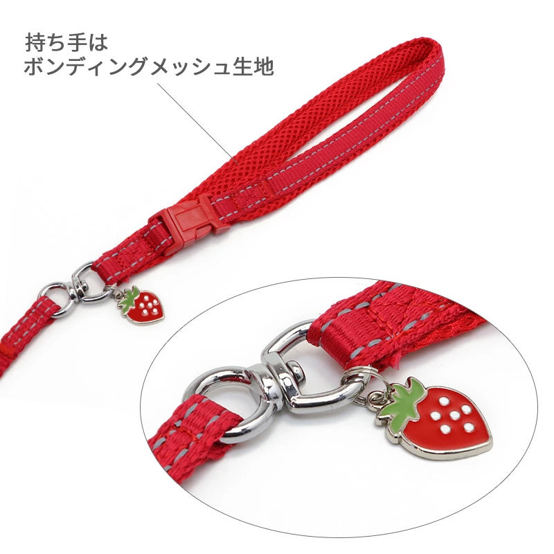 Strawberry Harness with Leash
