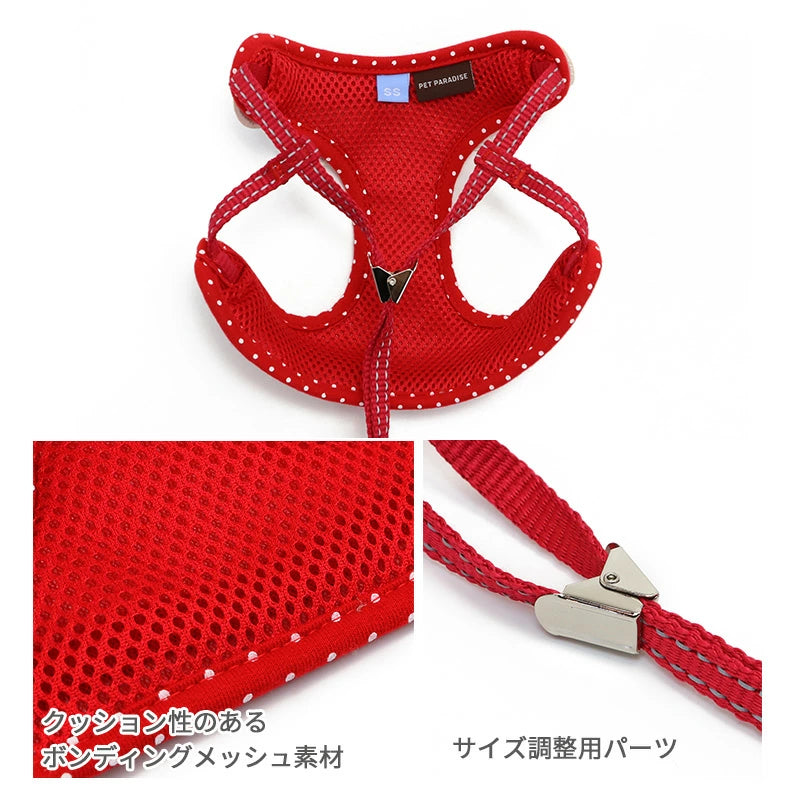 Strawberry Harness with Leash