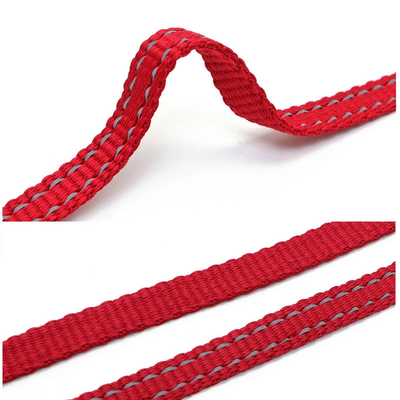 Strawberry Harness with Leash