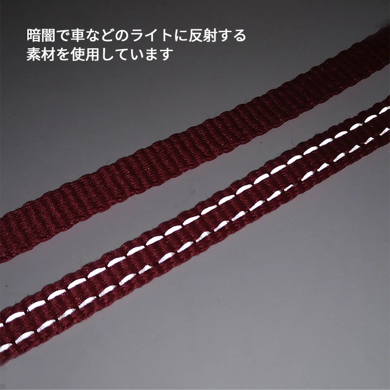 Strawberry Harness with Leash