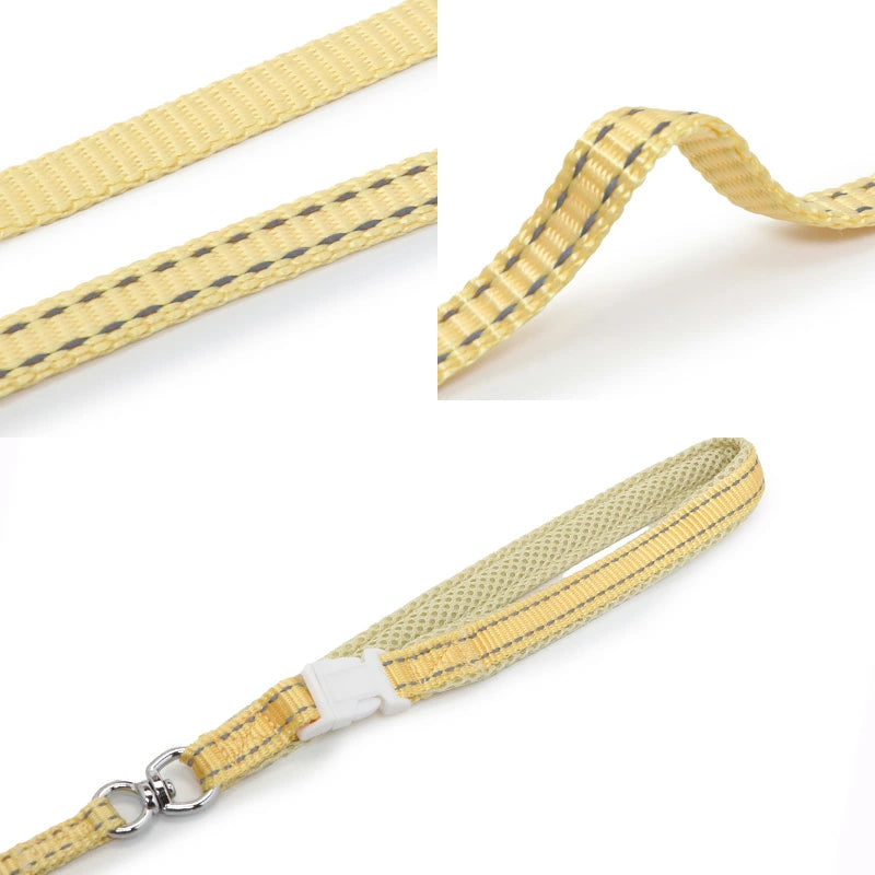 Bee Harness with Leash