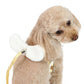 Bee Harness with Leash