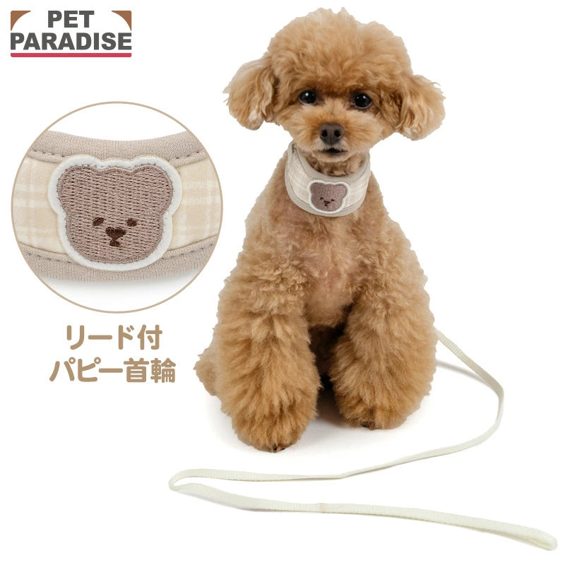 Dog Collar with Leash, Bear Pattern, Small Dog | One-Piece Collar