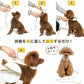 Dog Collar with Leash, Bear Pattern, Small Dog | One-Piece Collar