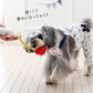 Gaspard and Lisa Dog Rope Toy | Tug-of-War