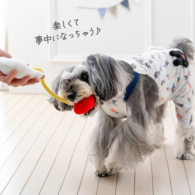 Gaspard and Lisa Dog Rope Toy | Tug-of-War