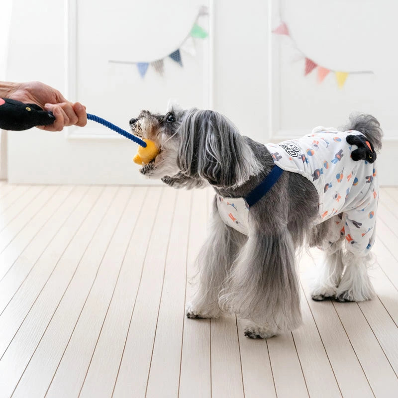 Gaspard and Lisa Gaspard Dog Toy Rope | Tug-of-War Duck