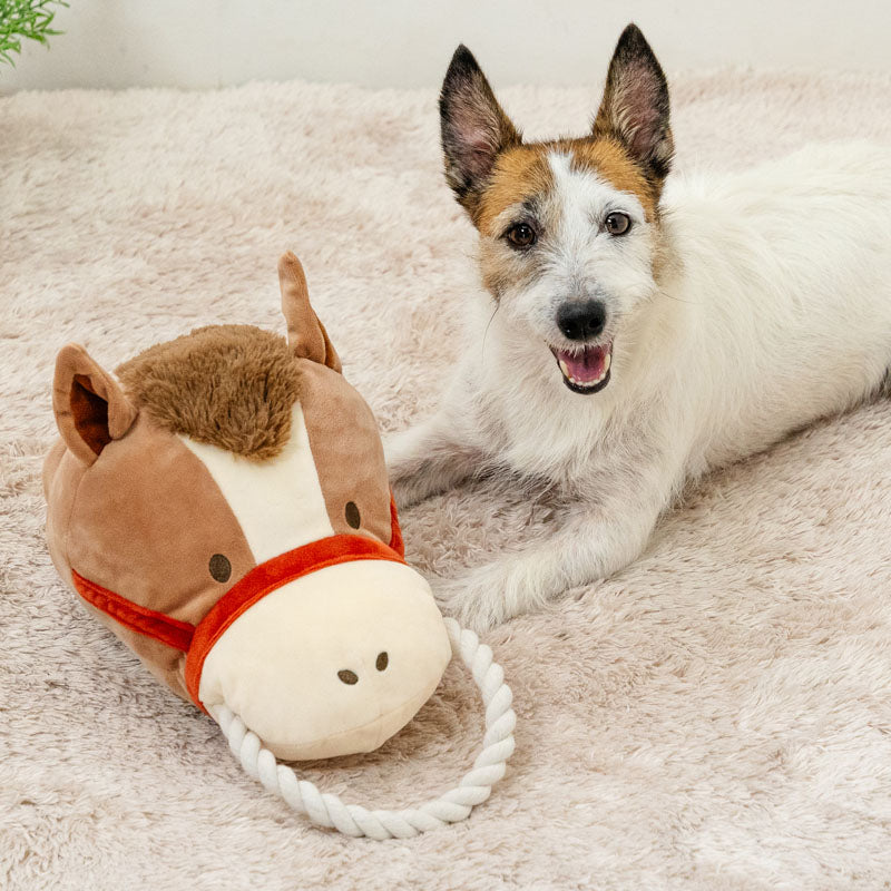 Puppet Toy Horse | Sounding TOY Pull with Whistle