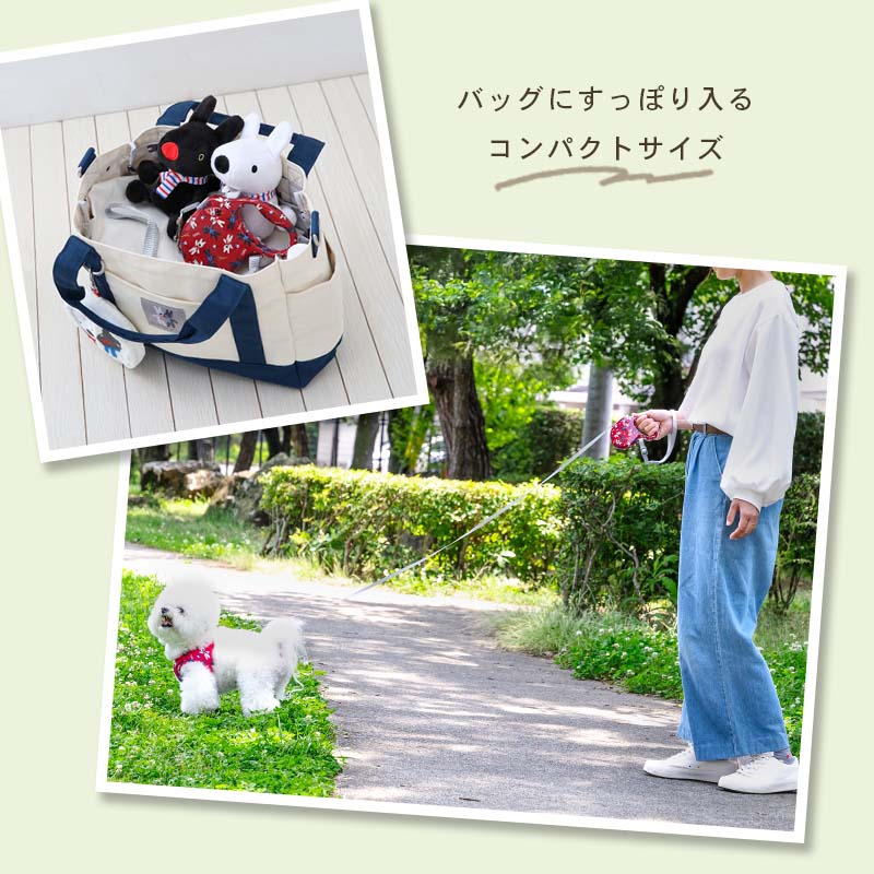 Lisa and Gaspard Retractable Dog Leash for Small Dogs | Lightweight Locking Automatic Long Leash with Retractable Leash(3m)