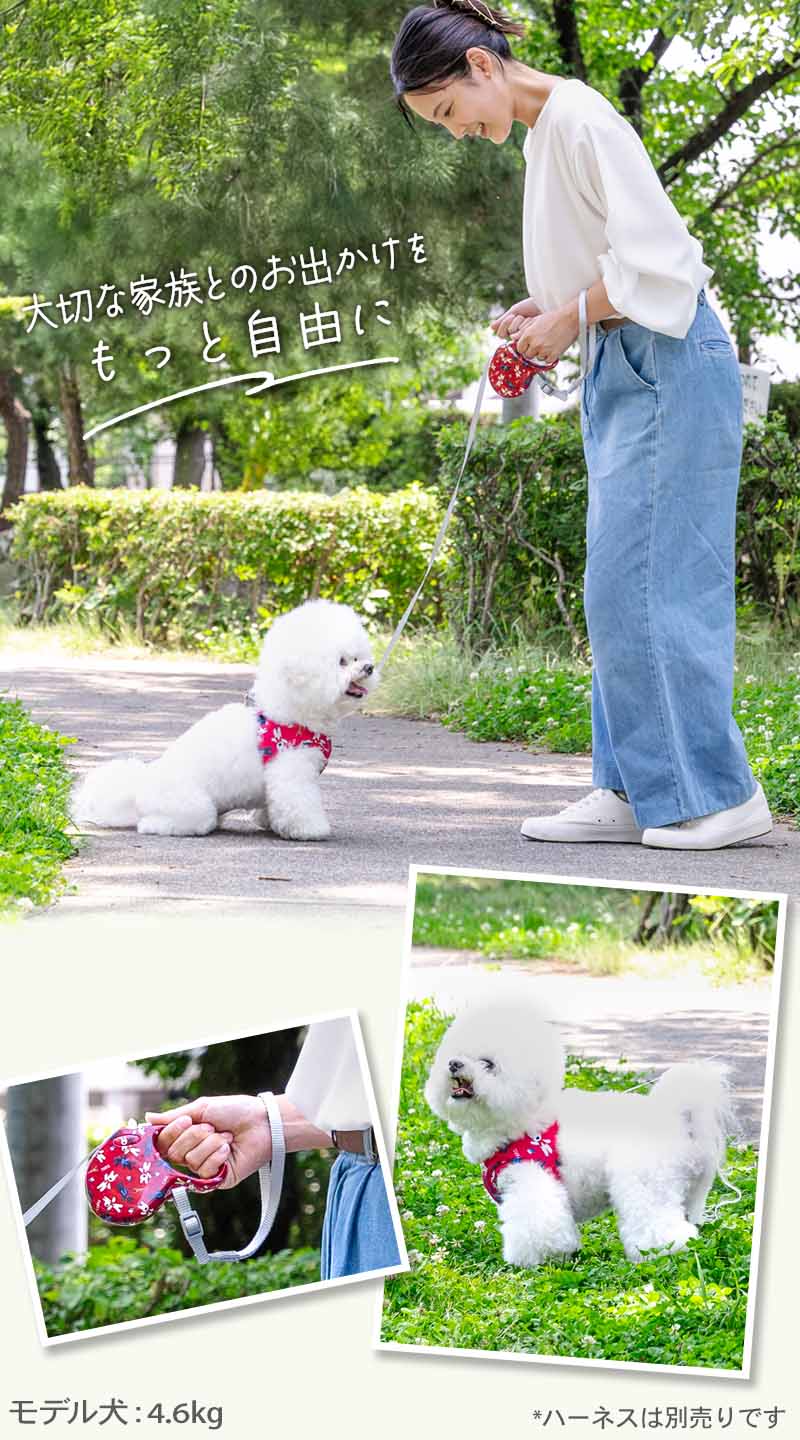 Lisa and Gaspard Retractable Dog Leash for Small Dogs | Lightweight Locking Automatic Long Leash with Retractable Leash(3m)