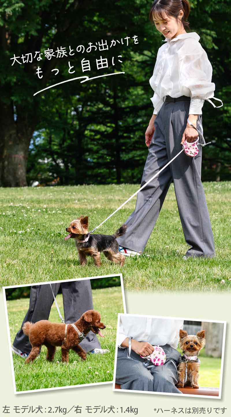 Retractable Leash with Strawberry and Logo Patterns