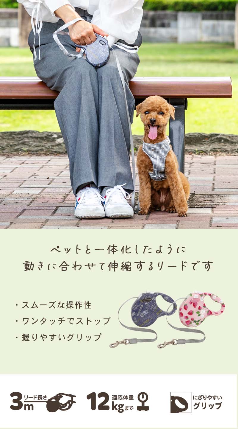 Retractable Leash with Strawberry and Logo Patterns