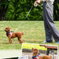 Snoopy Retractable Dog Leash