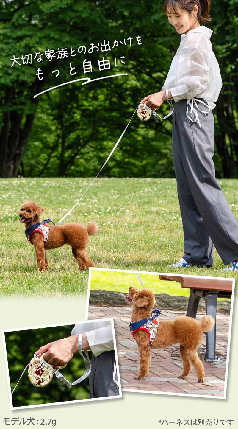 Snoopy Retractable Dog Leash