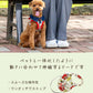 Snoopy Retractable Dog Leash