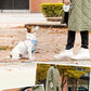 Disney Toy Story Dog Retractable Lead for Small Dogs |  Lightweight Locking Automatic Lead Long Lead Retractable Walking Outings Stylish Fashionable Cute 3m