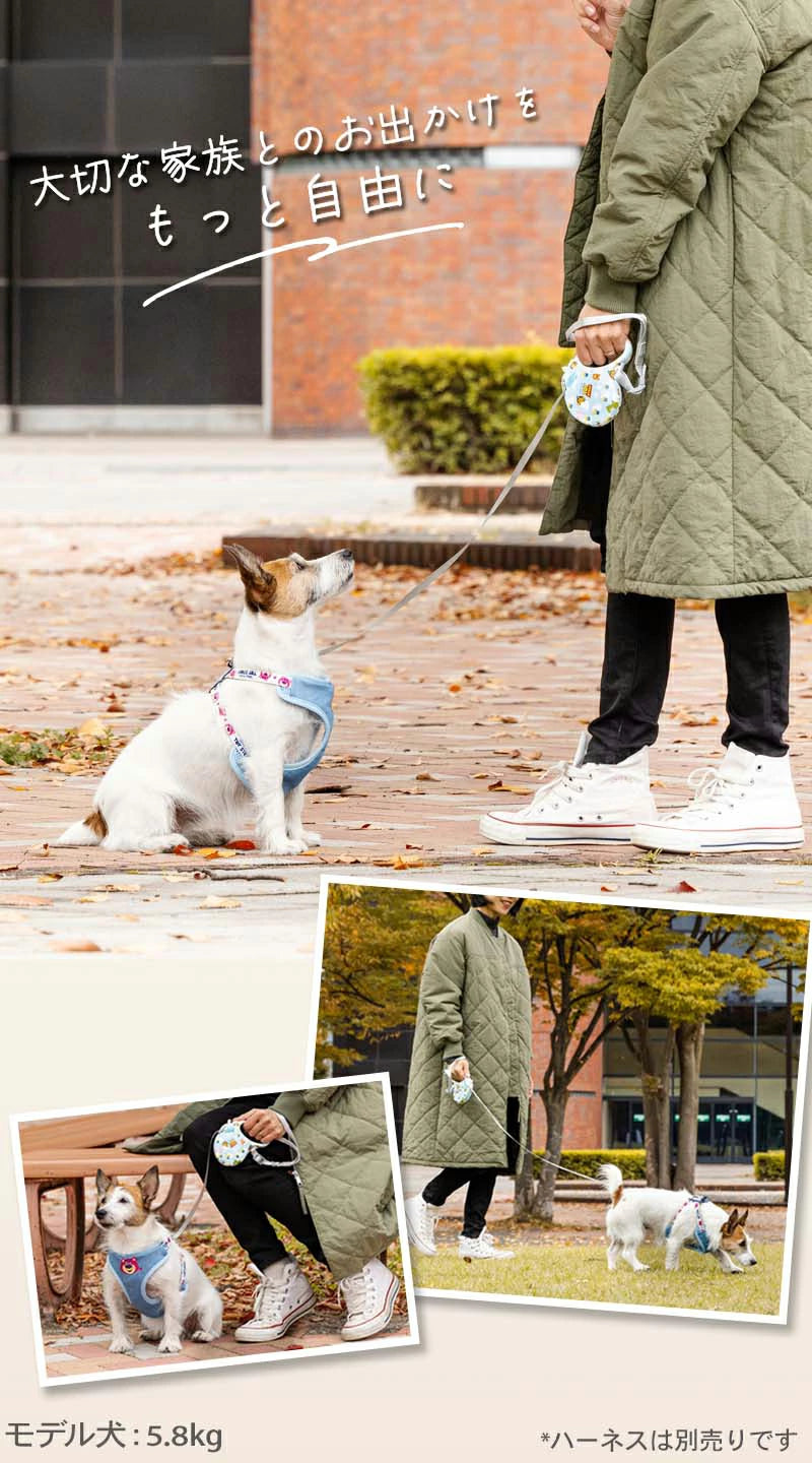 Disney Toy Story Dog Retractable Lead for Small Dogs |  Lightweight Locking Automatic Lead Long Lead Retractable Walking Outings Stylish Fashionable Cute 3m