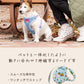 Disney Toy Story Dog Retractable Lead for Small Dogs |  Lightweight Locking Automatic Lead Long Lead Retractable Walking Outings Stylish Fashionable Cute 3m