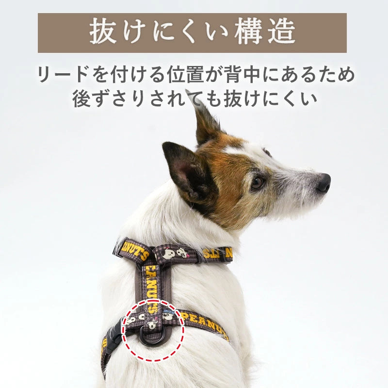 Authentic Snoopy Dog Harness, Siblings Pattern, Active Harness and Leash