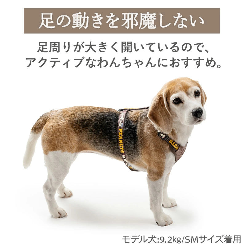Authentic Snoopy Dog Harness, Siblings Pattern, Active Harness and Leash