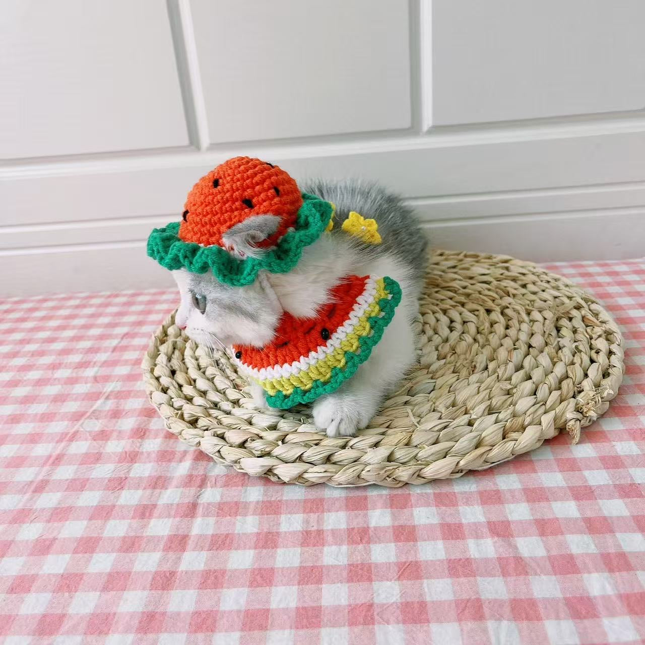 Handmade Watermelon Hat and Bandana Set