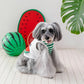 Authentic Snoopy Watermelon Pocket Cool Tank Top for Dogs – Summer Cooling Vest