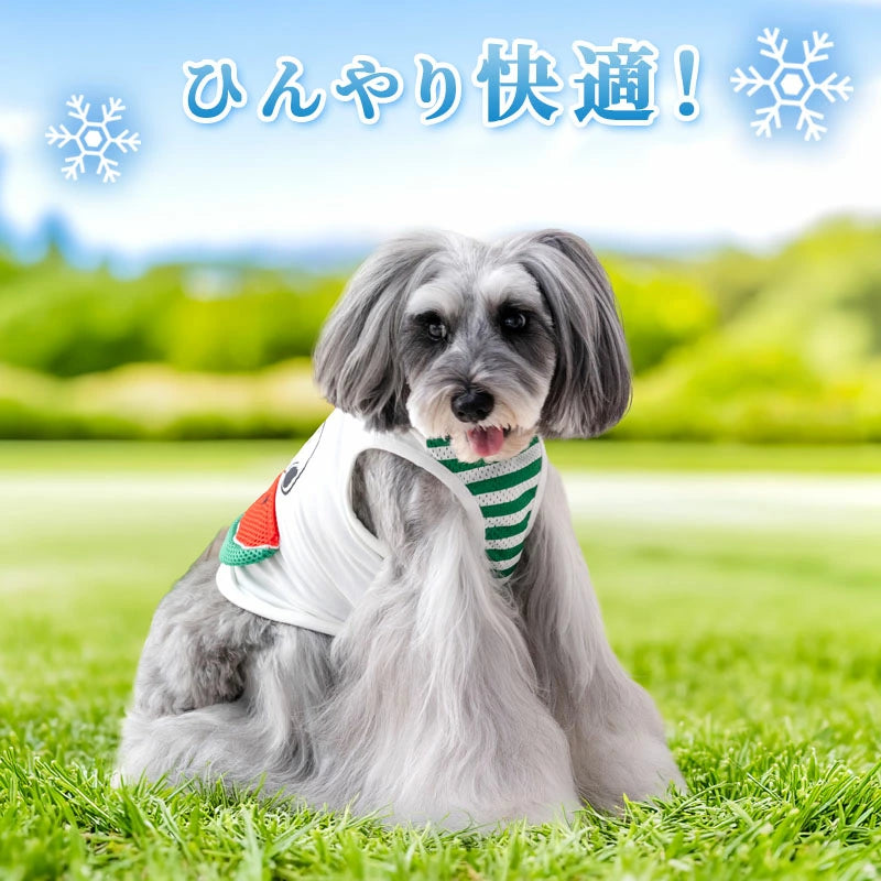 Authentic Snoopy Watermelon Pocket Cool Tank Top for Dogs – Summer Cooling Vest