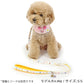 Disney Dog Collar with Winnie the Pooh and Piglet