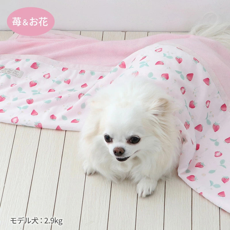 Cooling Blanket Summer Cool  Strawberry & Flower Pattern Bear Marine | Strawberry Strawberry Flower Bear Cool Touch Pet Coolket Mat Cat Heat Prevention Heat Stroke Prevention Blanket Throw Cool Cooling Cool Feel Cool Car