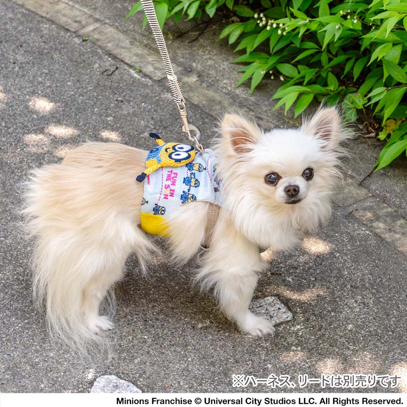 Minion dog clothes spring summer ice pattern cool vest