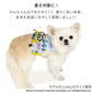 Minion dog clothes spring summer ice pattern cool vest